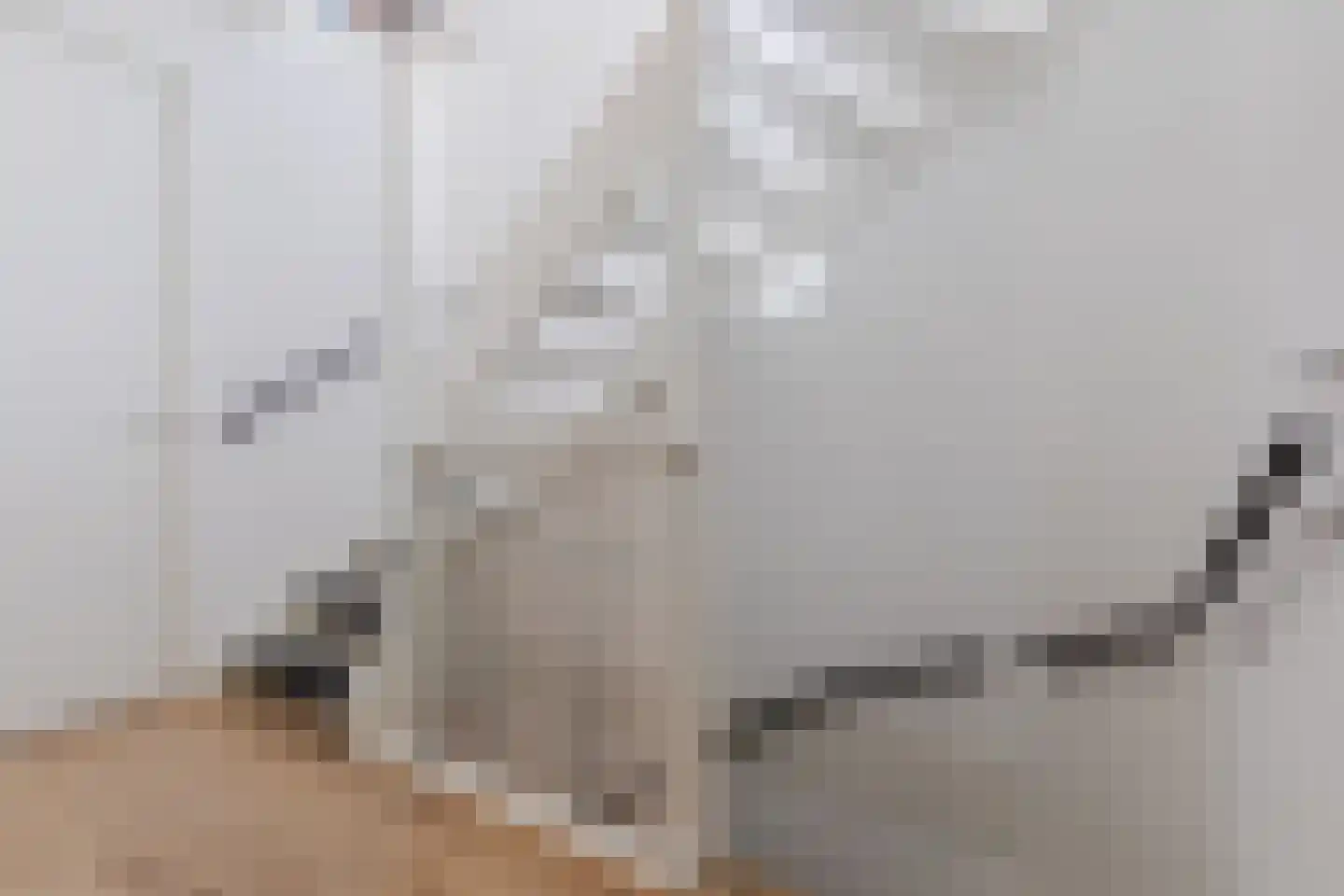 Kattestart 8 Gemert thumbnail 32