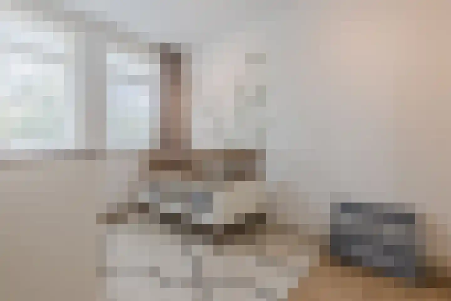 Kattestart 8 Gemert thumbnail 33