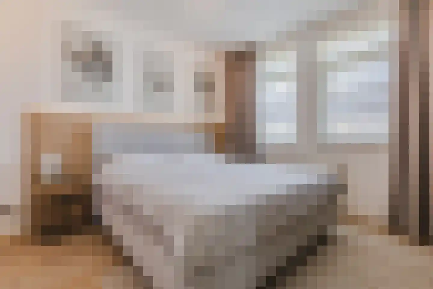 Kattestart 8 Gemert thumbnail 35