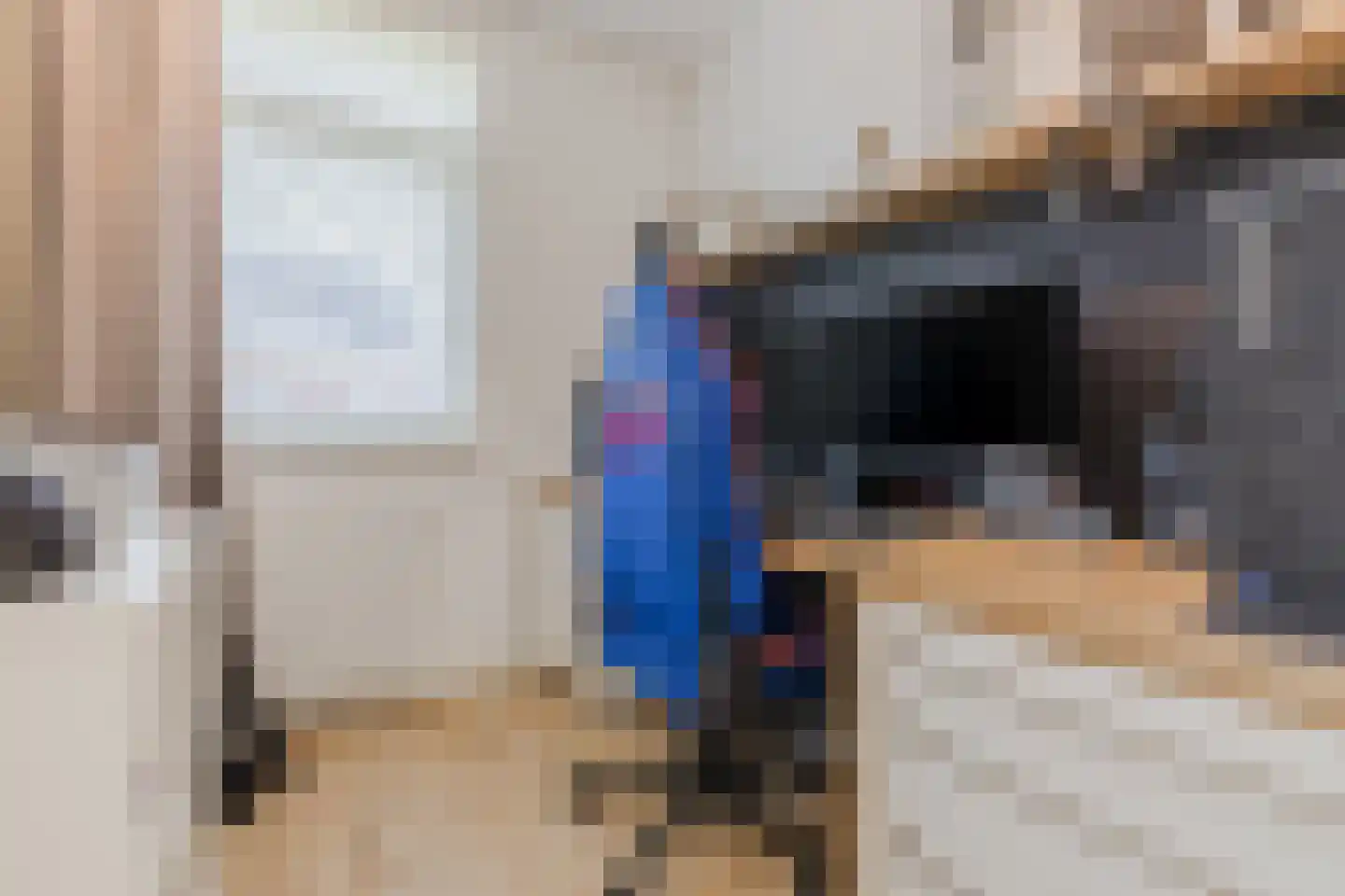 Kattestart 8 Gemert thumbnail 38