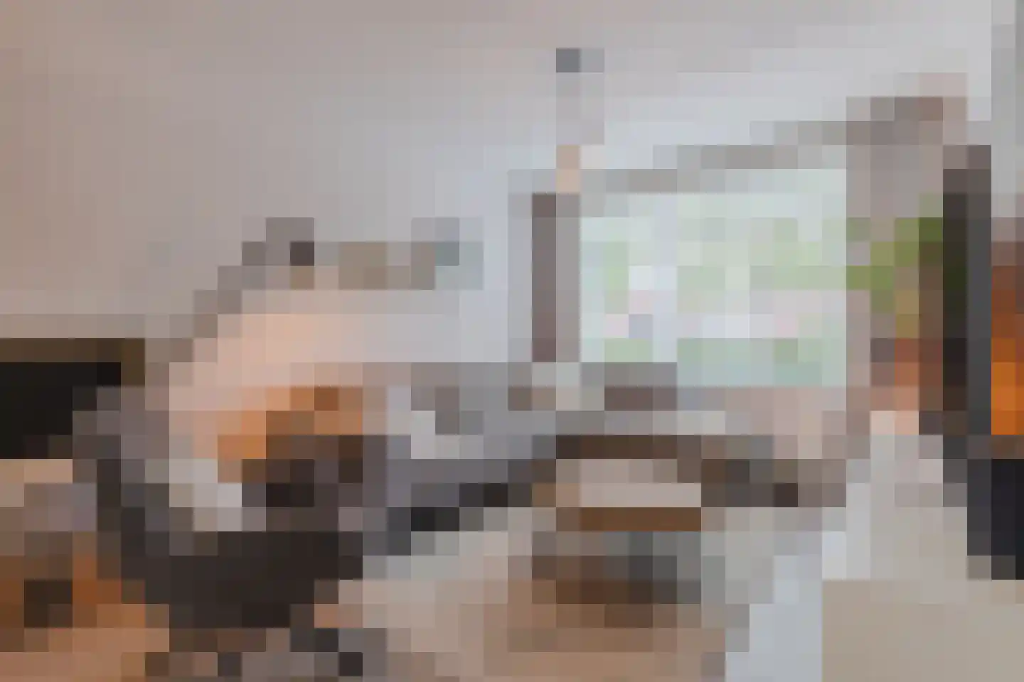 Kattestart 8 Gemert thumbnail 4