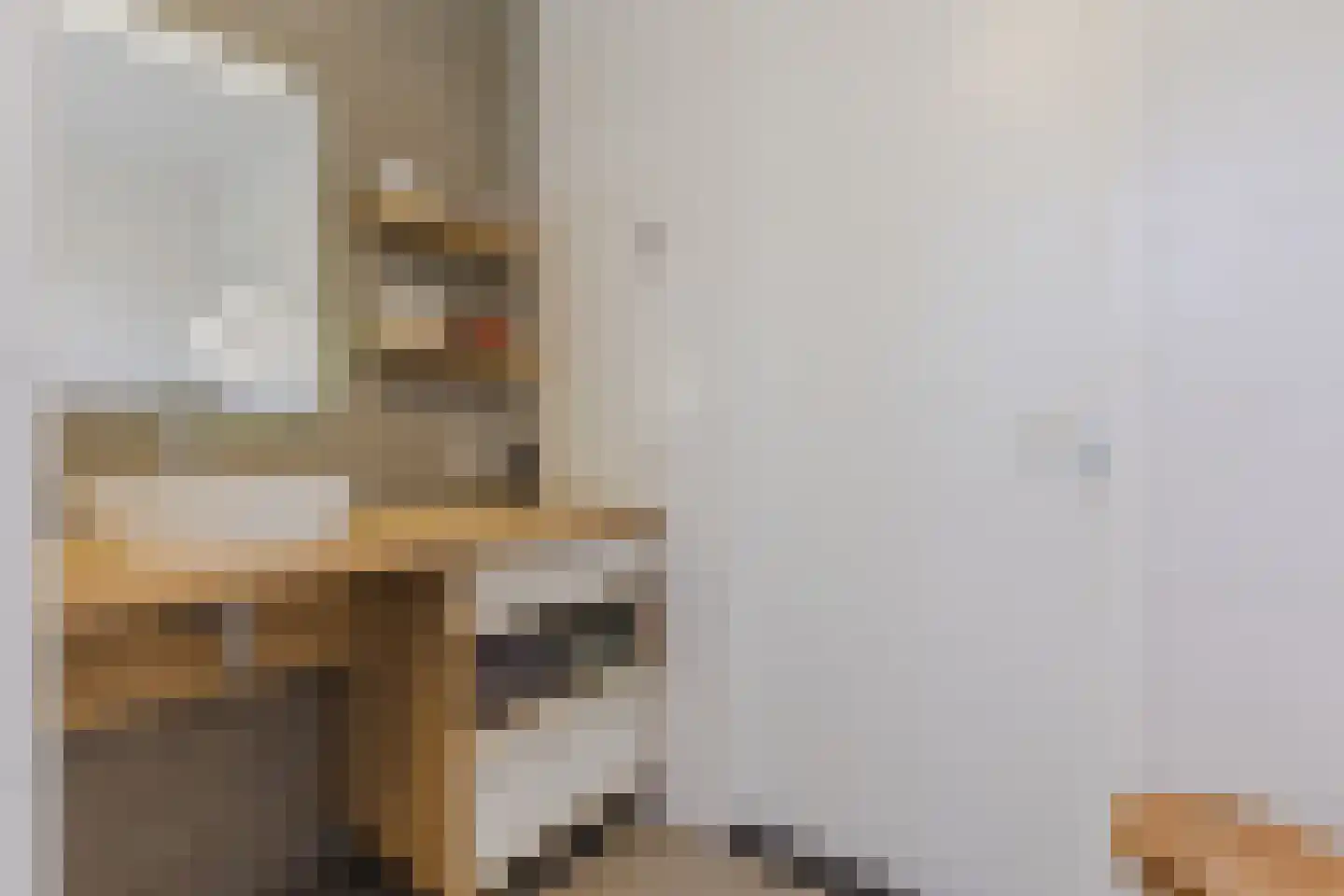 Kattestart 8 Gemert thumbnail 44