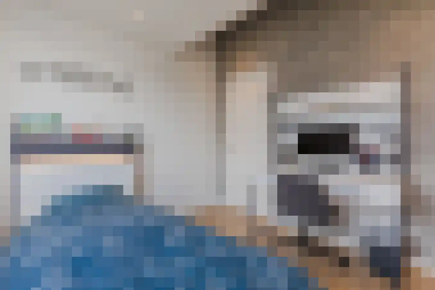 Kattestart 8 Gemert thumbnail 50