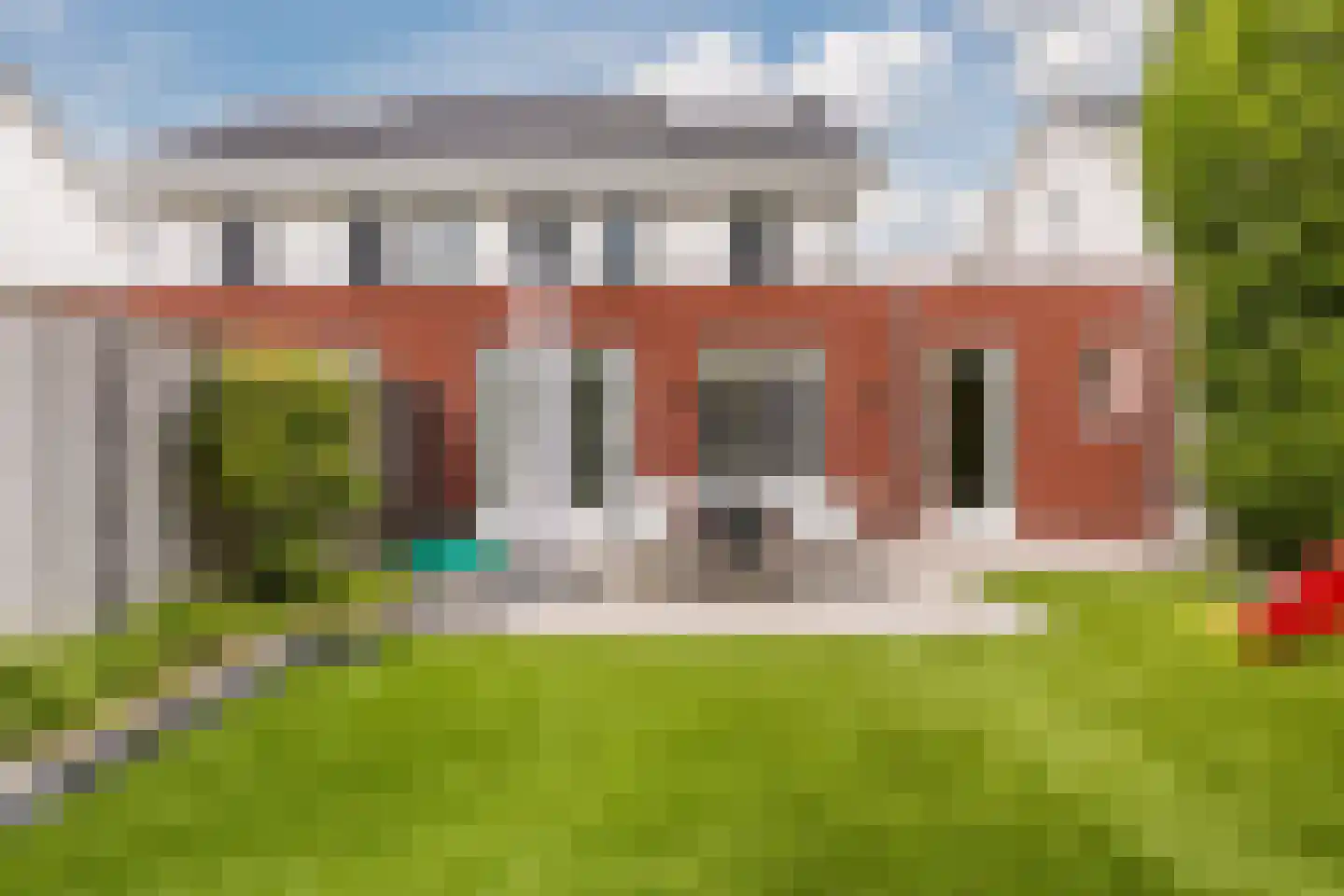 Kattestart 8 Gemert thumbnail 51