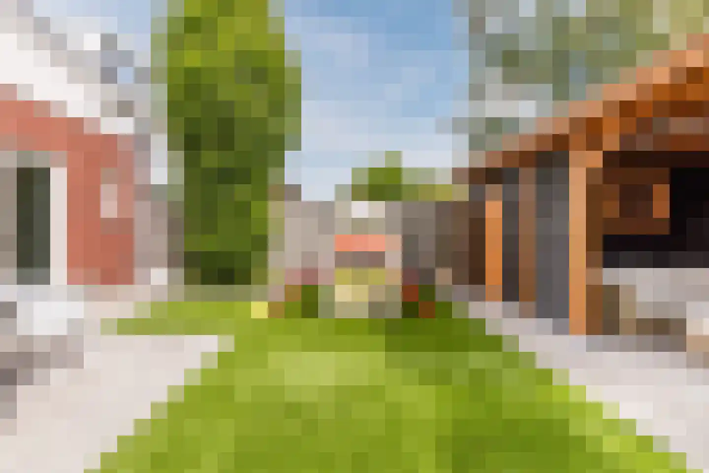 Kattestart 8 Gemert thumbnail 53