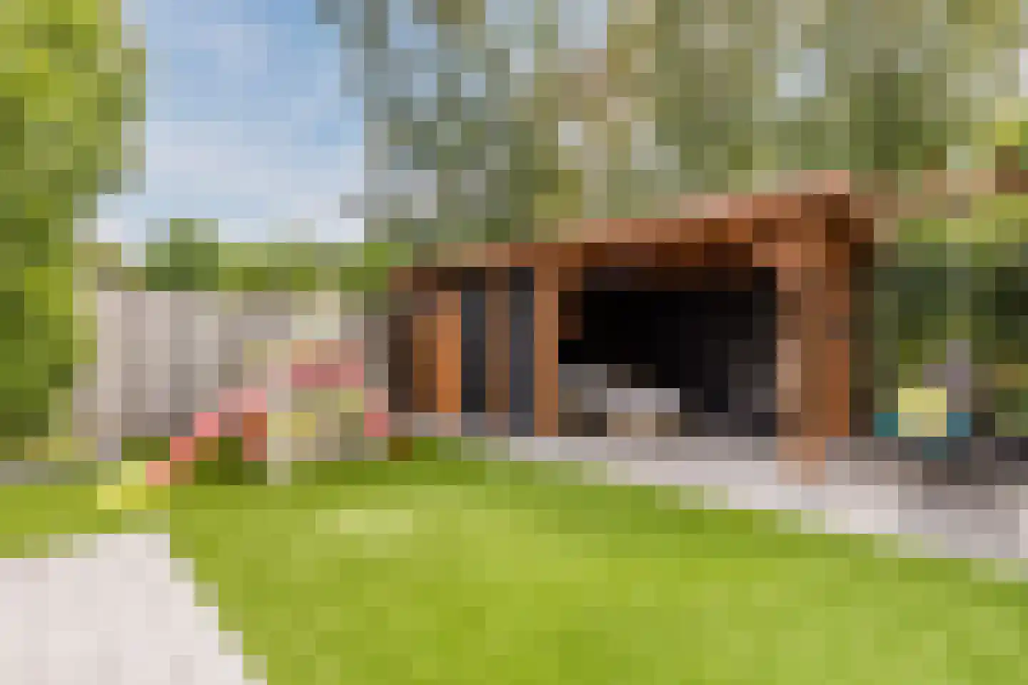 Kattestart 8 Gemert thumbnail 54