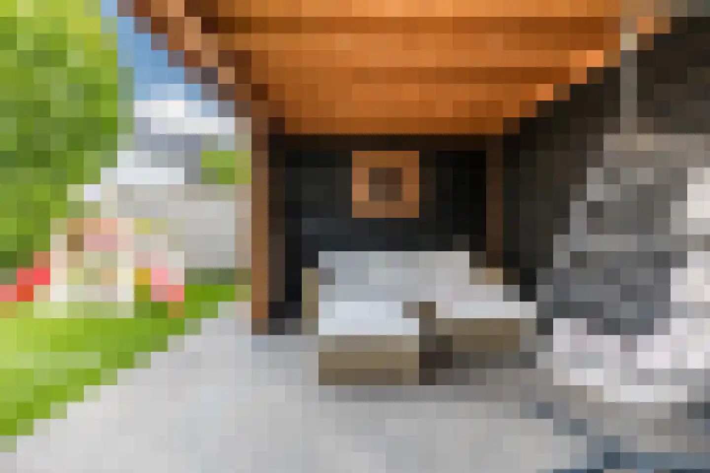 Kattestart 8 Gemert thumbnail 55