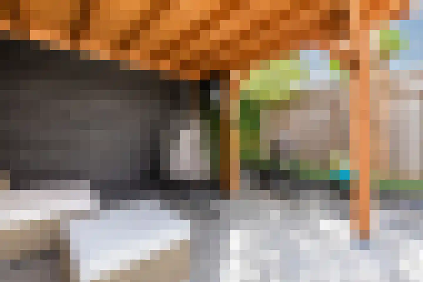 Kattestart 8 Gemert thumbnail 56
