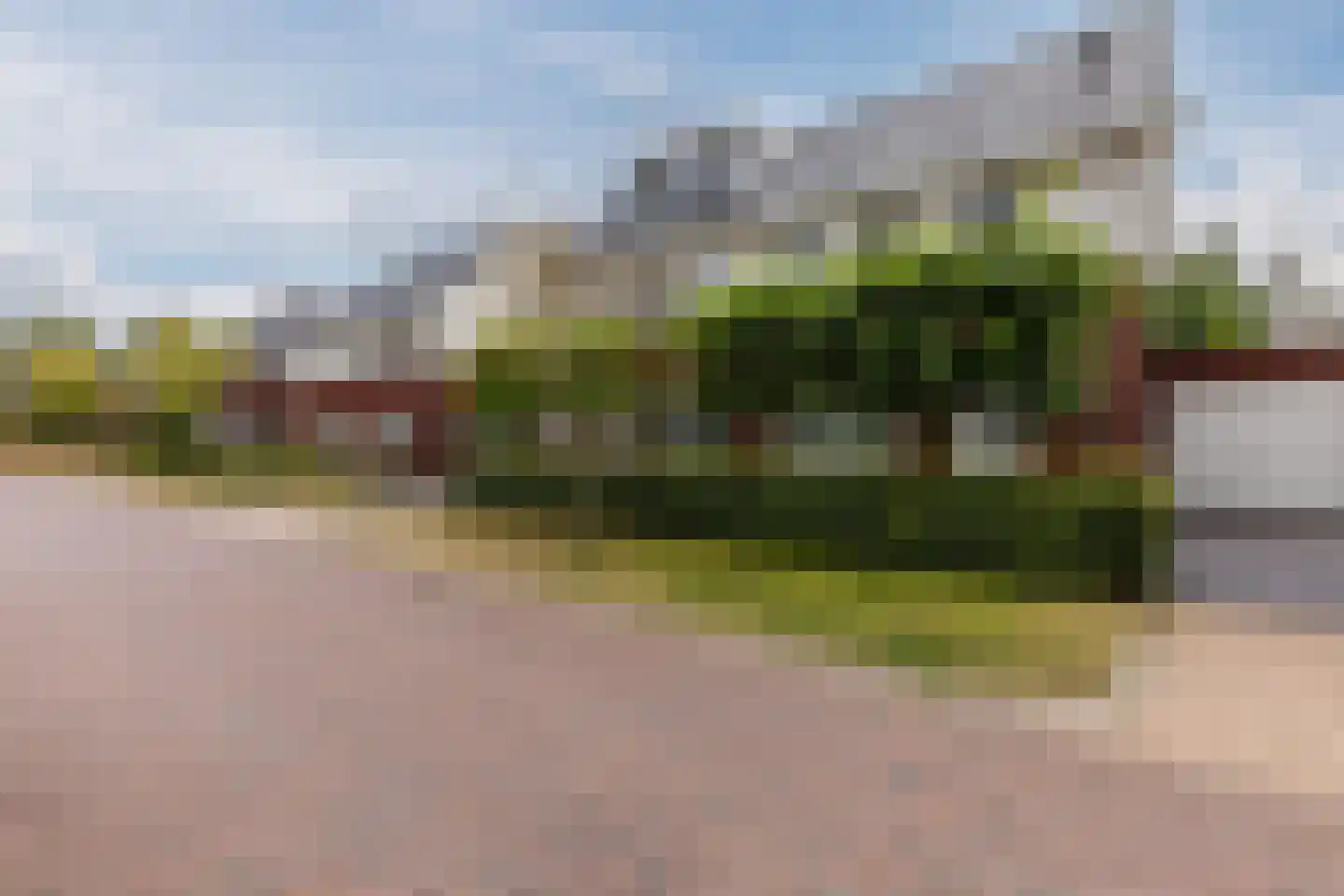 Kattestart 8 Gemert thumbnail 58