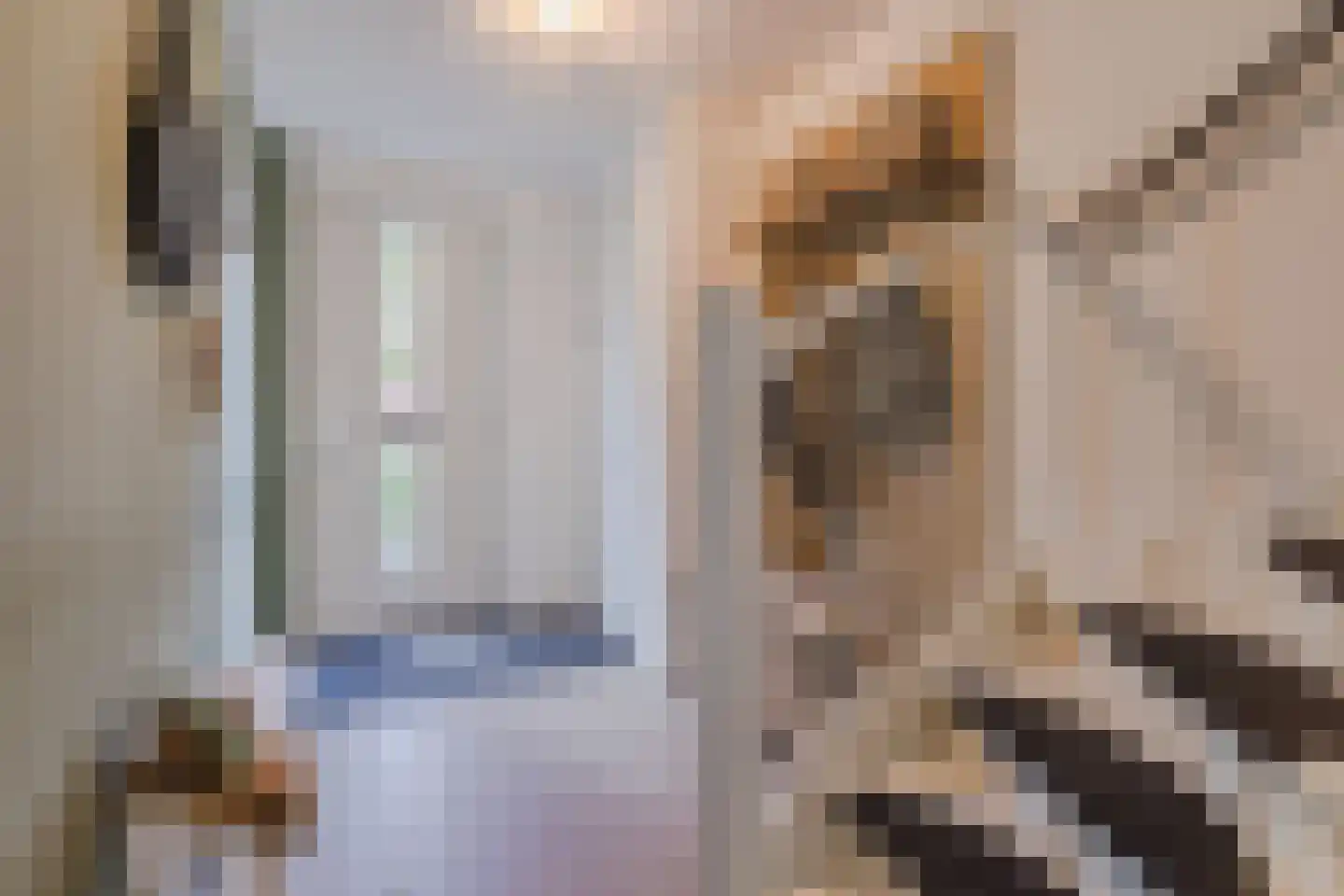 Kattestart 8 Gemert thumbnail 6