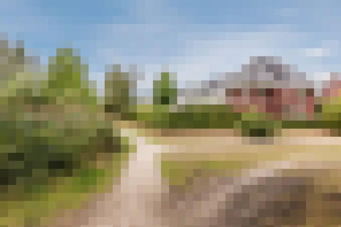 Kattestart 8 Gemert thumbnail 61
