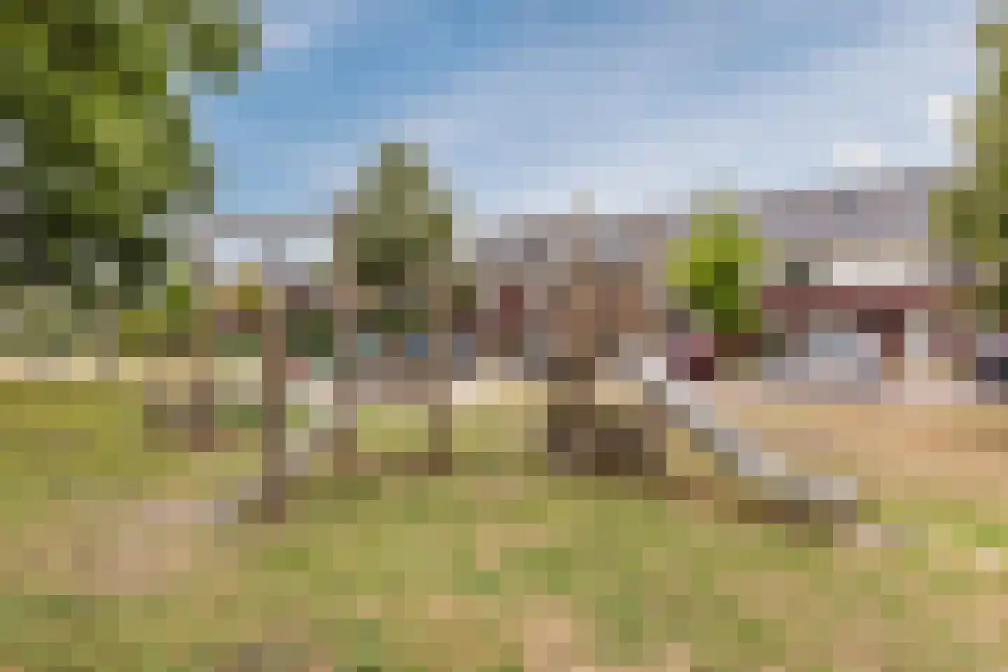 Kattestart 8 Gemert thumbnail 62