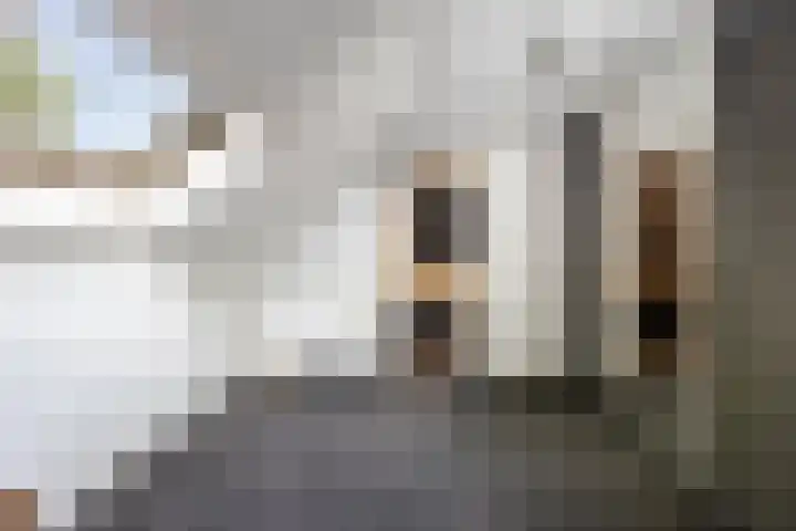 Kattestraat 42 Etten-Leur thumbnail 40