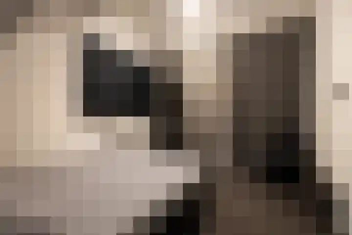 Kattestraat 42 Etten-Leur thumbnail 43