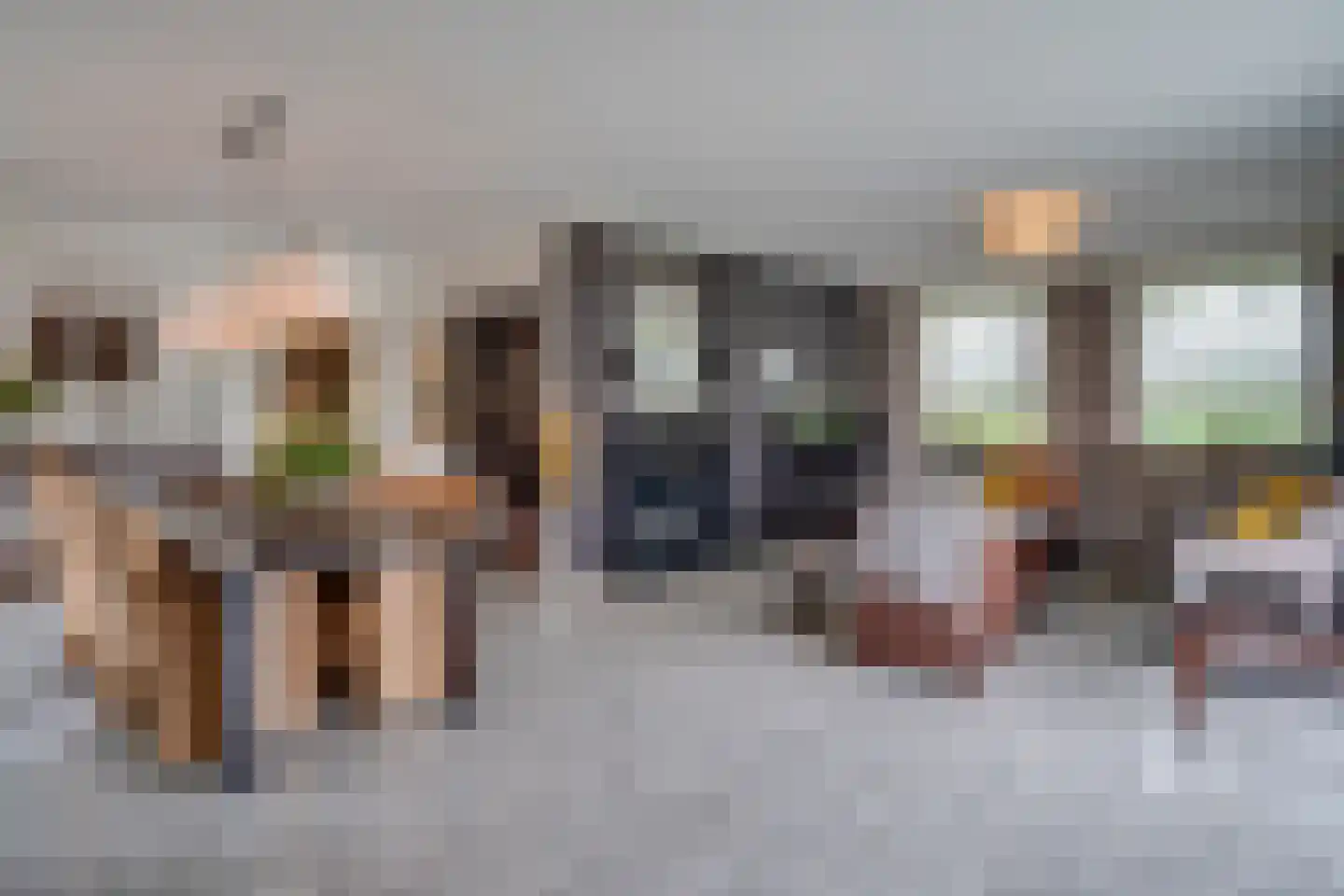 Kattevlaas 7 Milheeze thumbnail 12