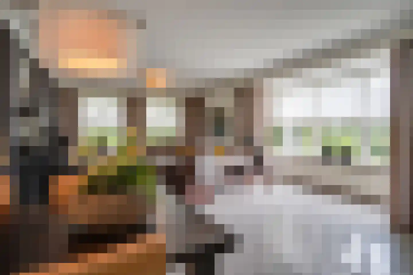 Kattevlaas 7 Milheeze thumbnail 14