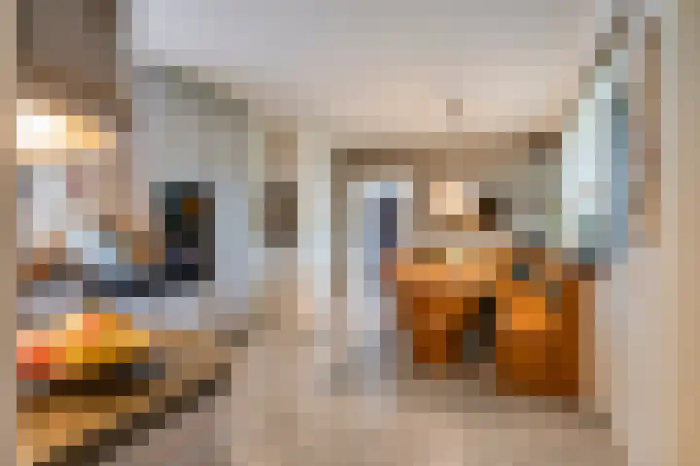 Kattevlaas 7 Milheeze thumbnail 17