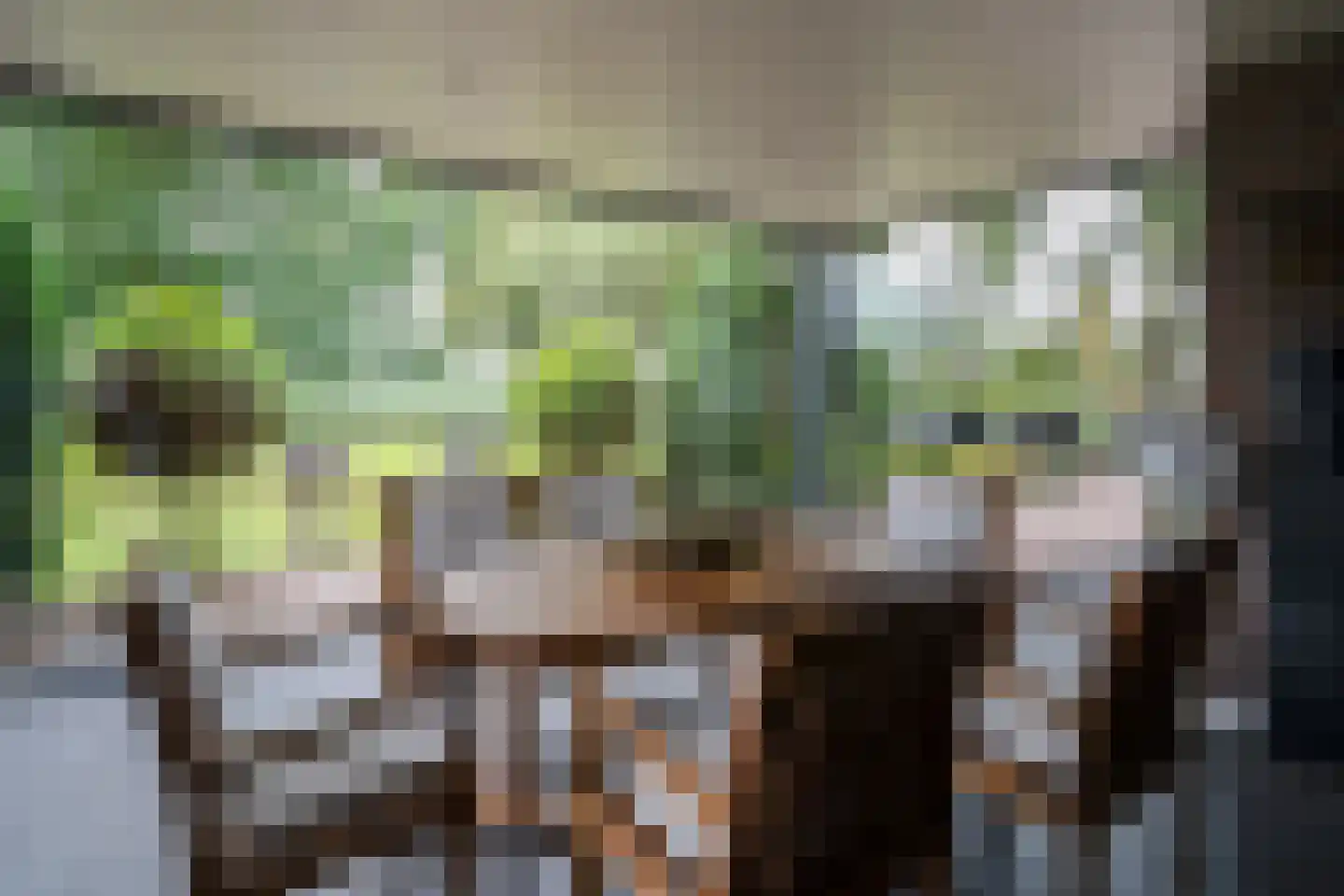 Kattevlaas 7 Milheeze thumbnail 19