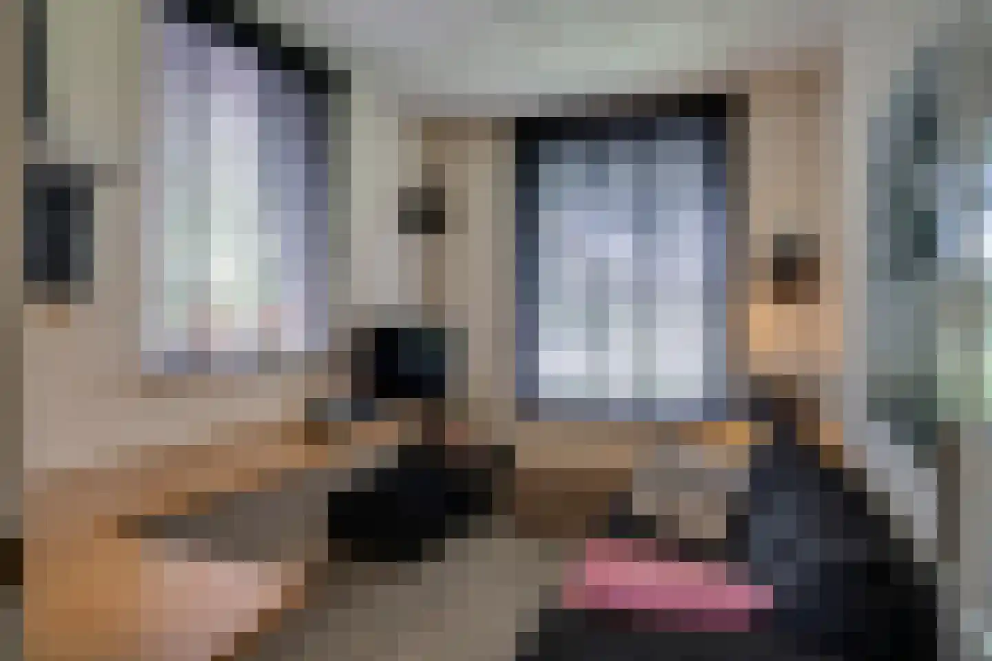 Kattevlaas 7 Milheeze thumbnail 20