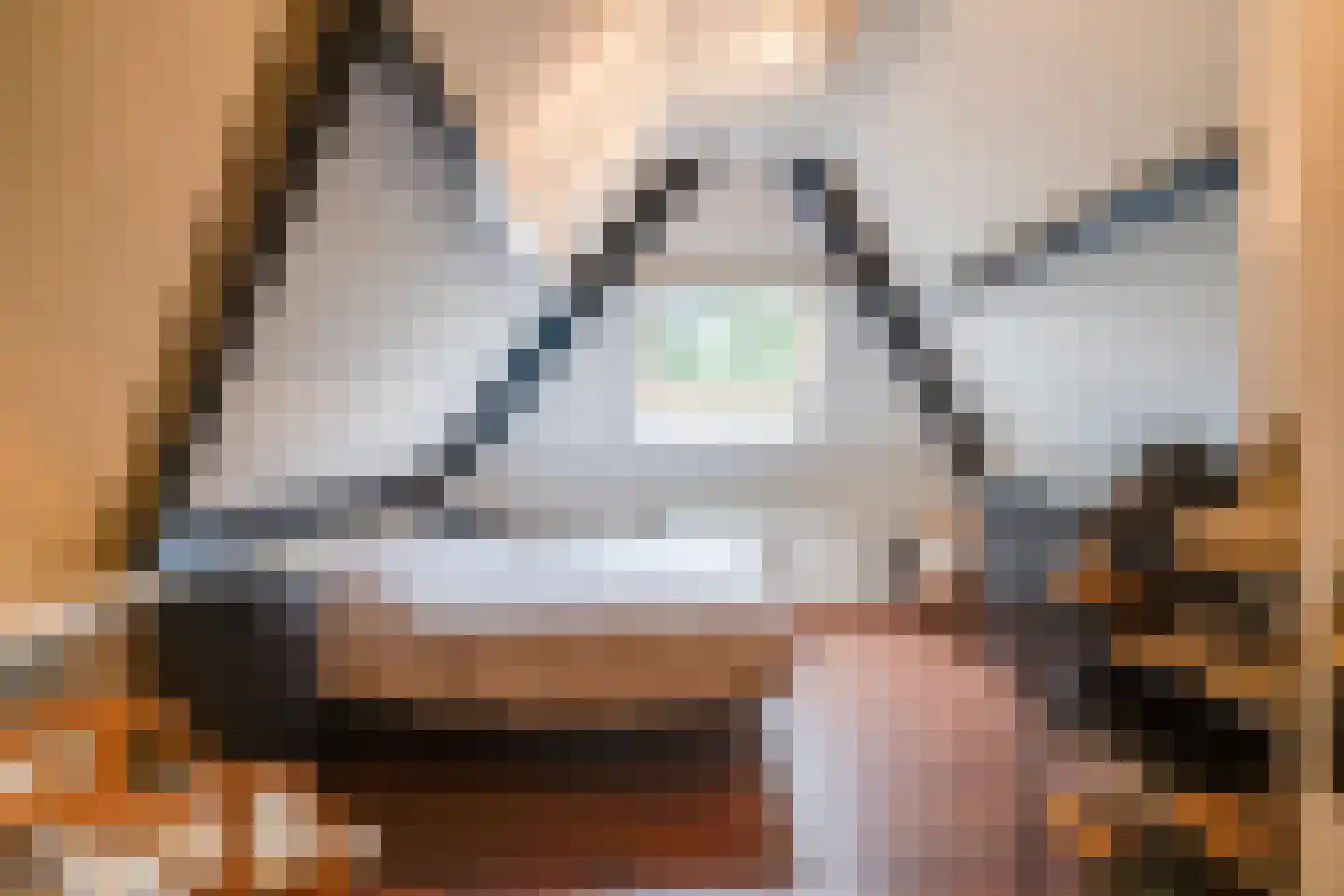 Kattevlaas 7 Milheeze thumbnail 27
