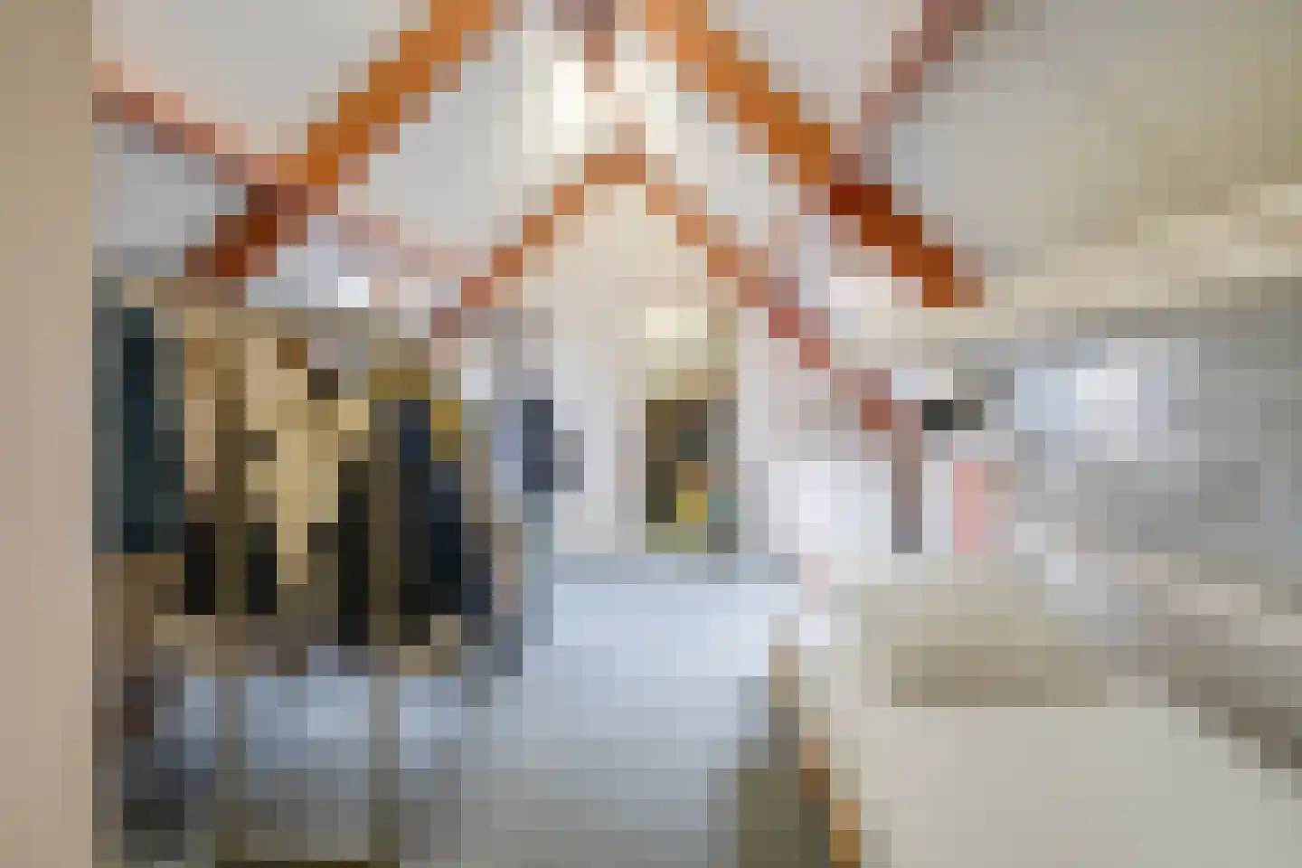 Kattevlaas 7 Milheeze thumbnail 35