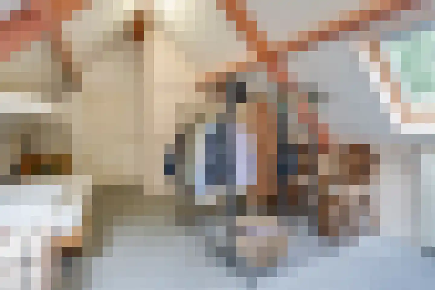 Kattevlaas 7 Milheeze thumbnail 36