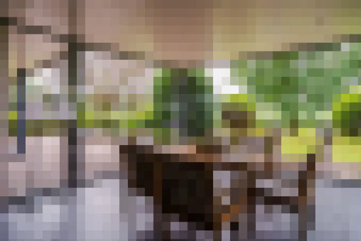 Kattevlaas 7 Milheeze thumbnail 38
