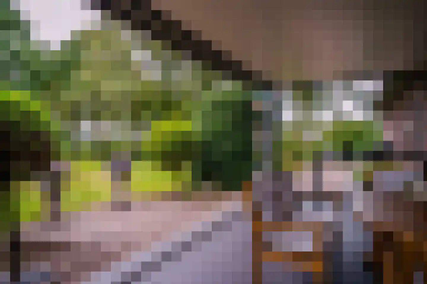 Kattevlaas 7 Milheeze thumbnail 39