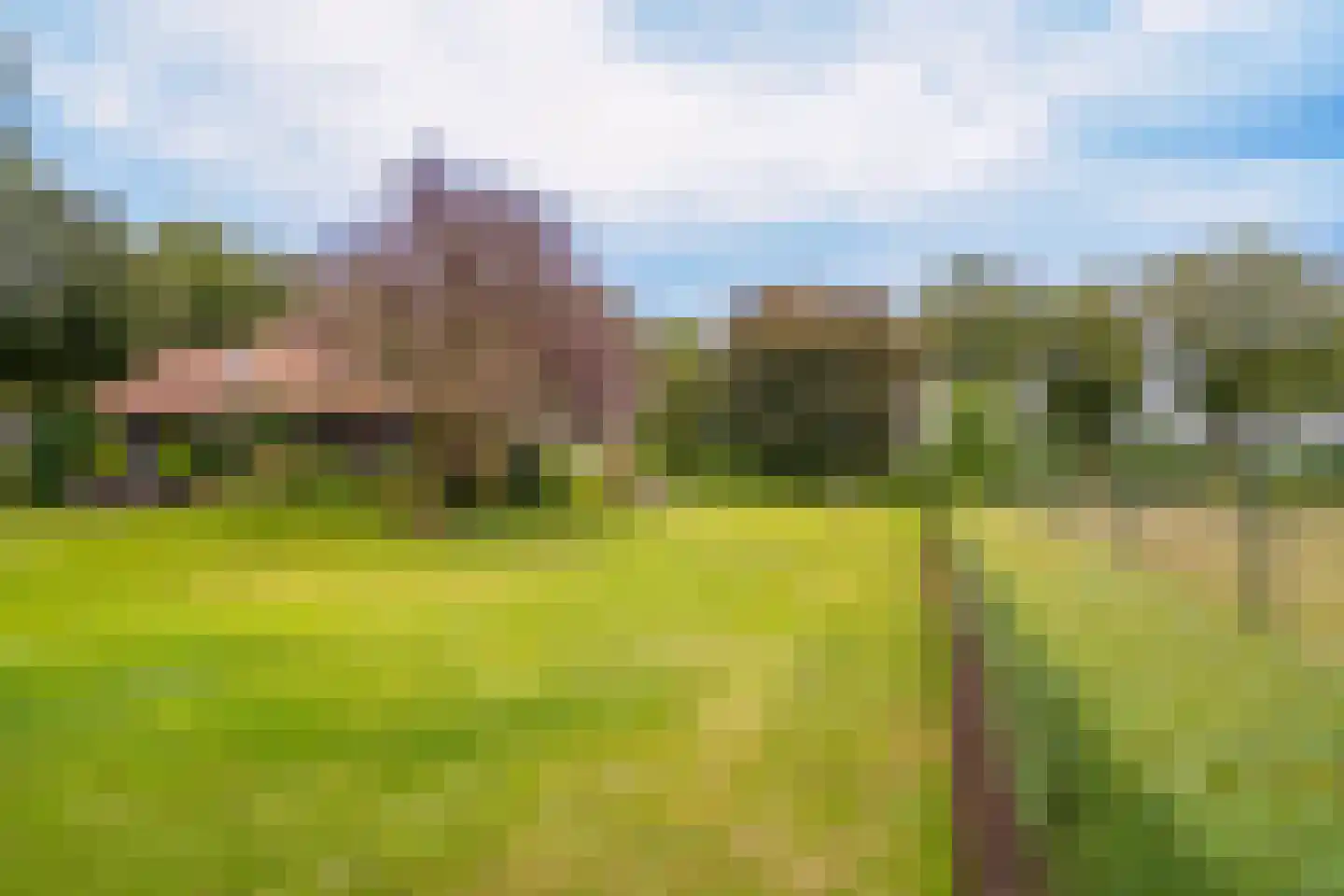 Kattevlaas 7 Milheeze thumbnail 40