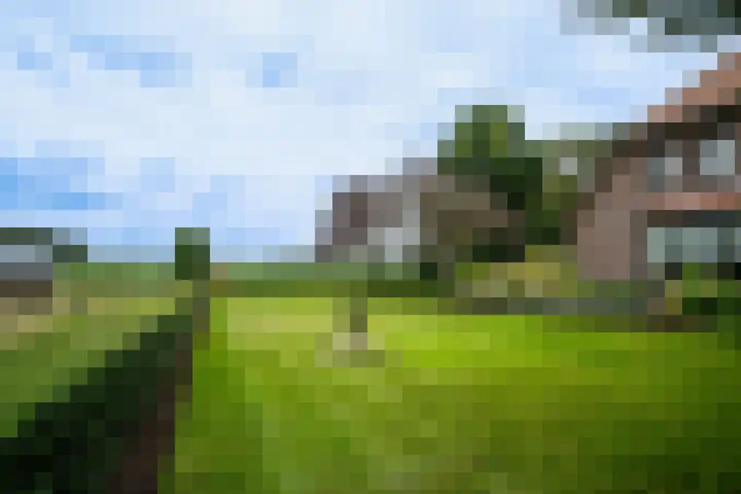 Kattevlaas 7 Milheeze thumbnail 41