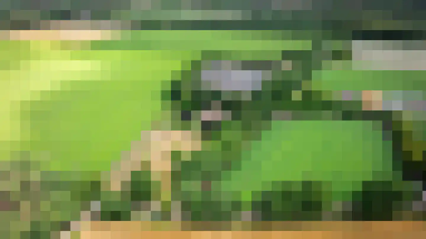 Kattevlaas 7 Milheeze thumbnail 44