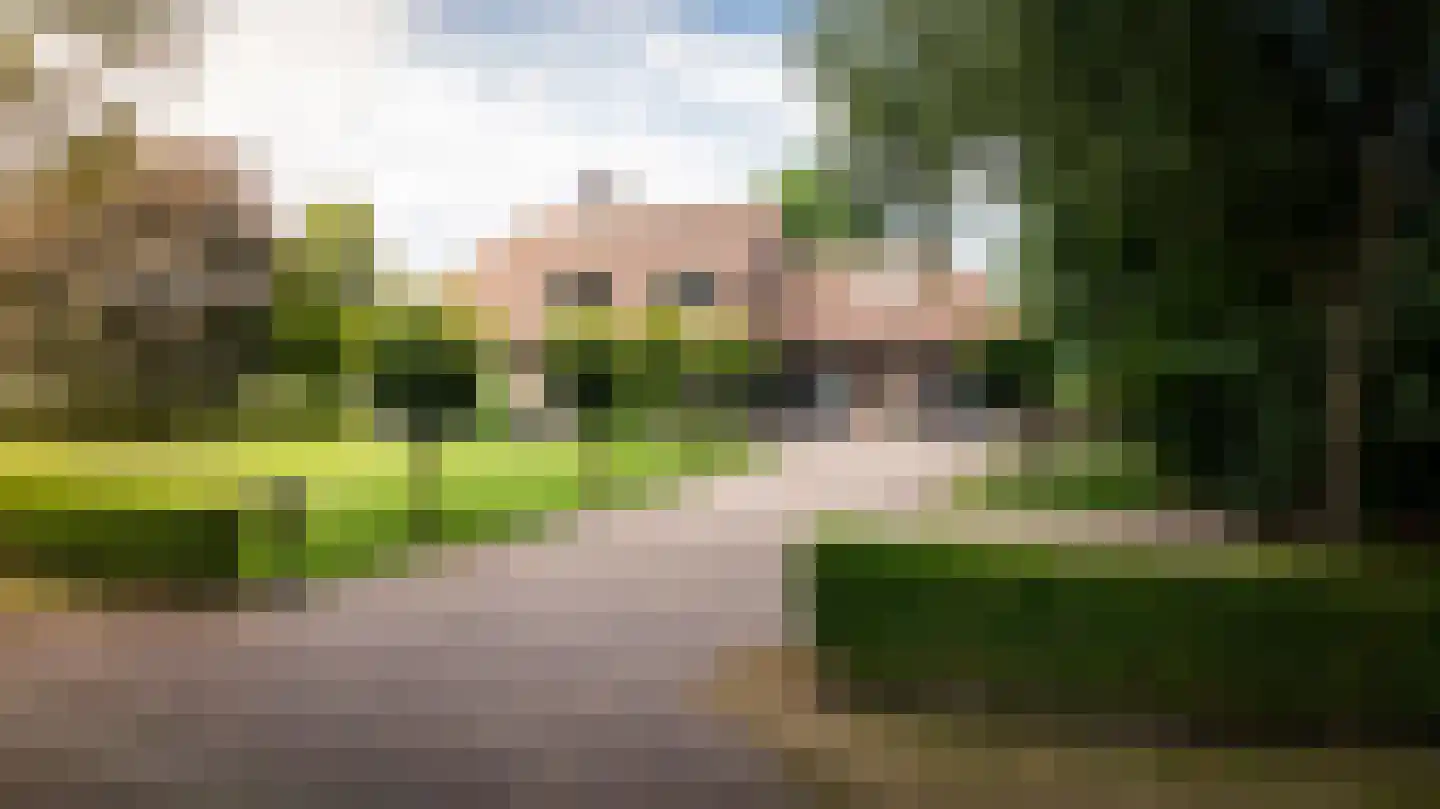 Kattevlaas 7 Milheeze thumbnail 9