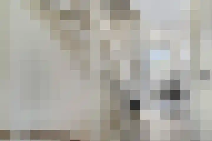 Katwijk 16 Haalderen thumbnail 21