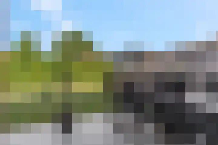 Katwijk 16 Haalderen thumbnail 33