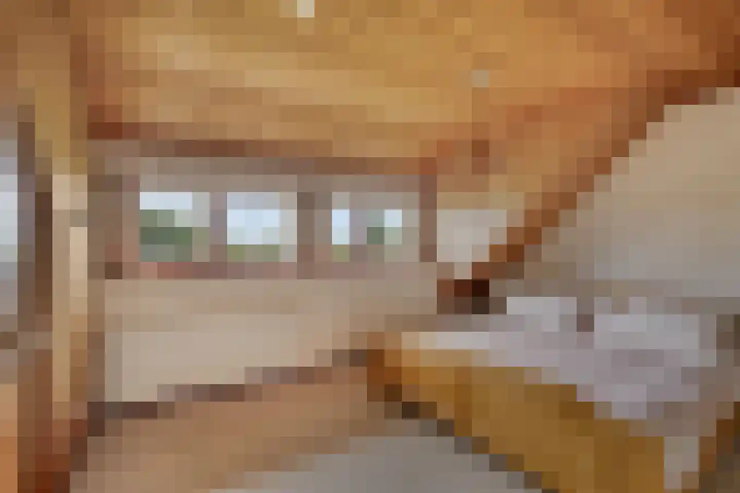 Katwijkerlaan 24 Pijnacker thumbnail 26
