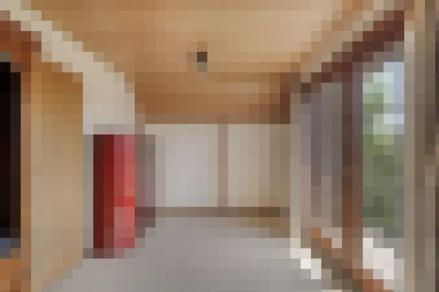 Katwijkerlaan 24 Pijnacker thumbnail 32