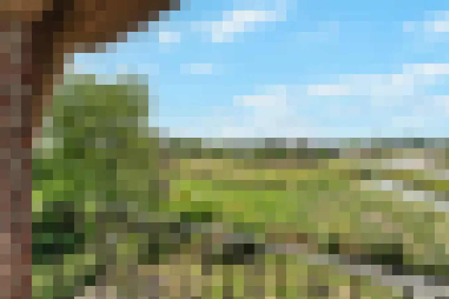 Katwijkerlaan 24 Pijnacker thumbnail 33