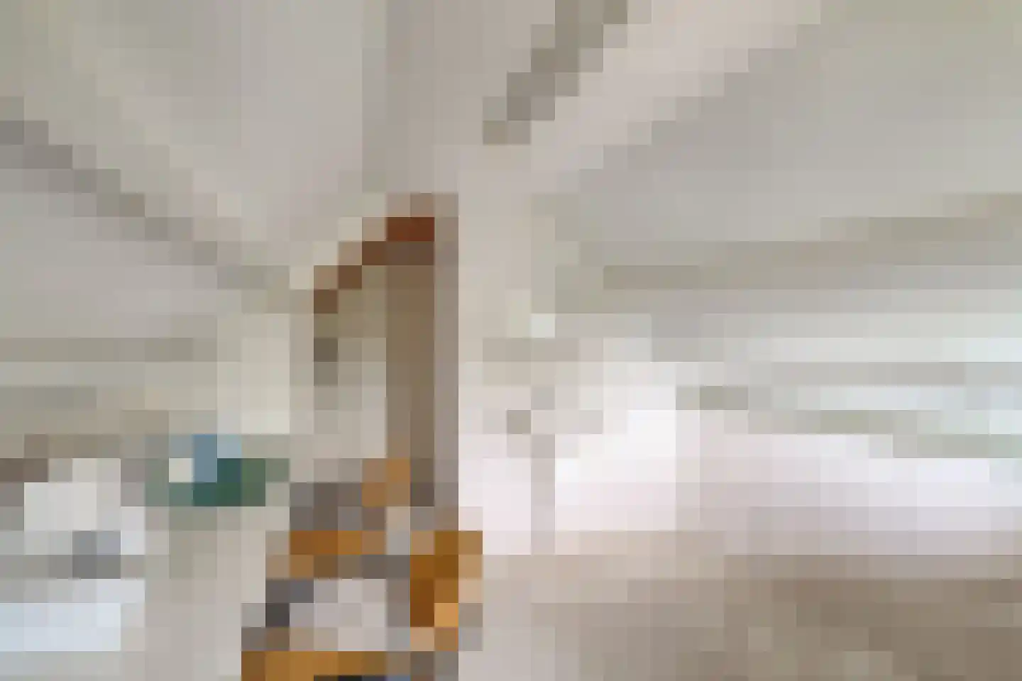 Katwijkerlaan 24 Pijnacker thumbnail 38