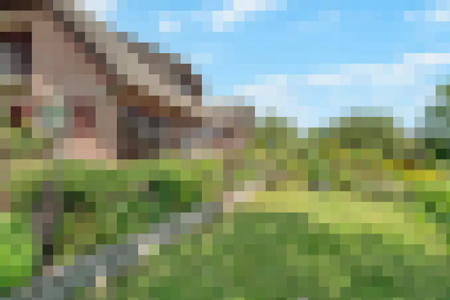 Katwijkerlaan 24 Pijnacker thumbnail 43