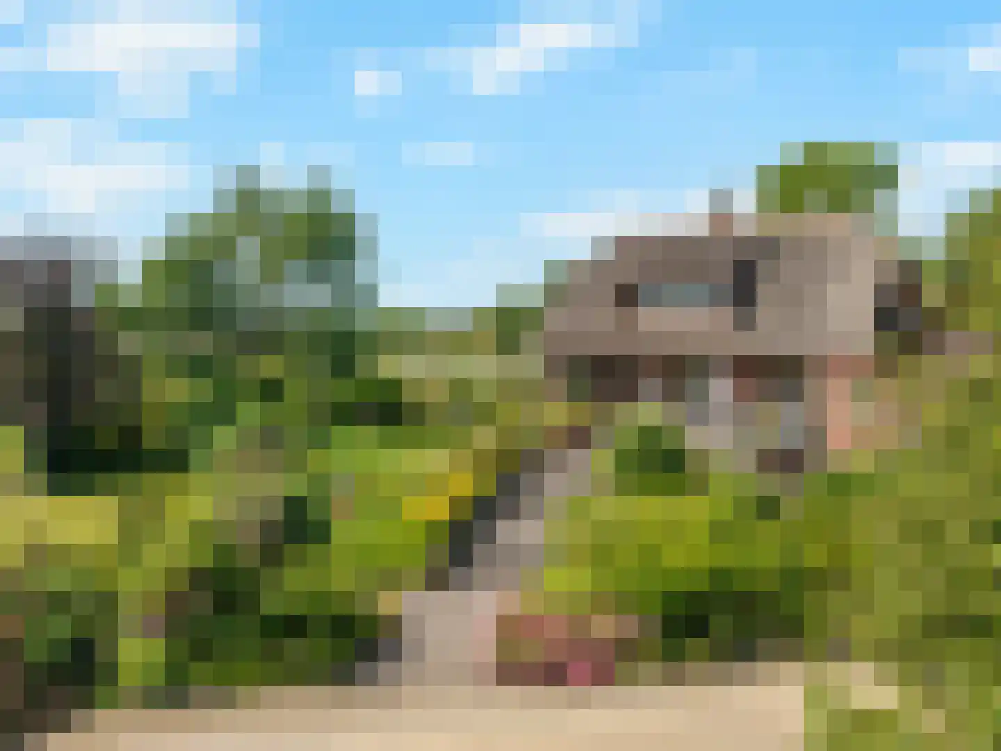 Katwijkerlaan 24 Pijnacker thumbnail 48