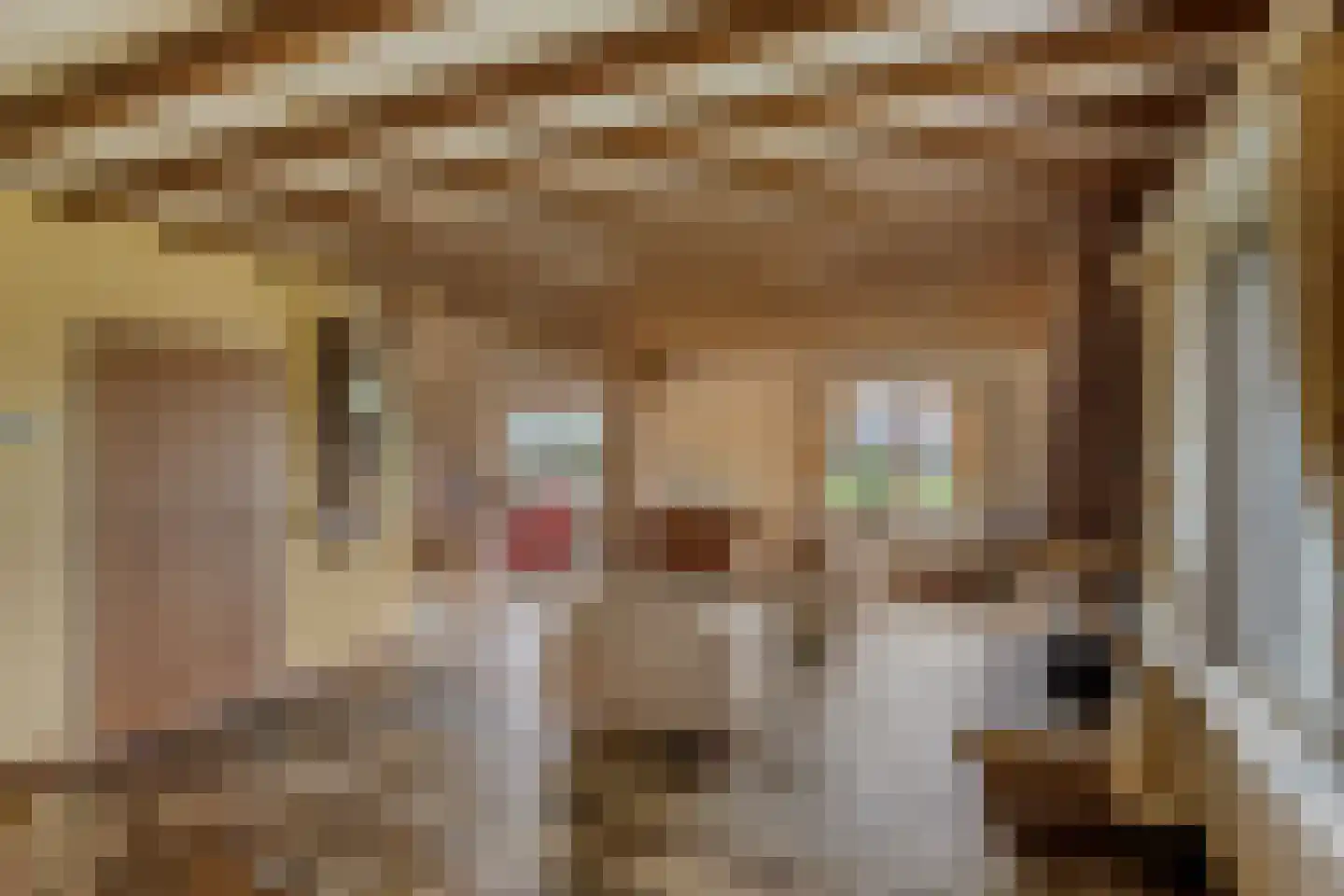 Katwijkerlaan 24 Pijnacker thumbnail 8