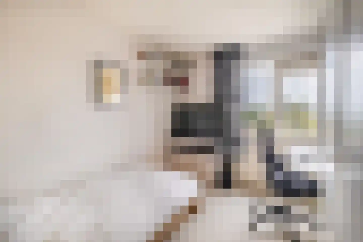 Katwijkerlaan 48 Pijnacker thumbnail 31