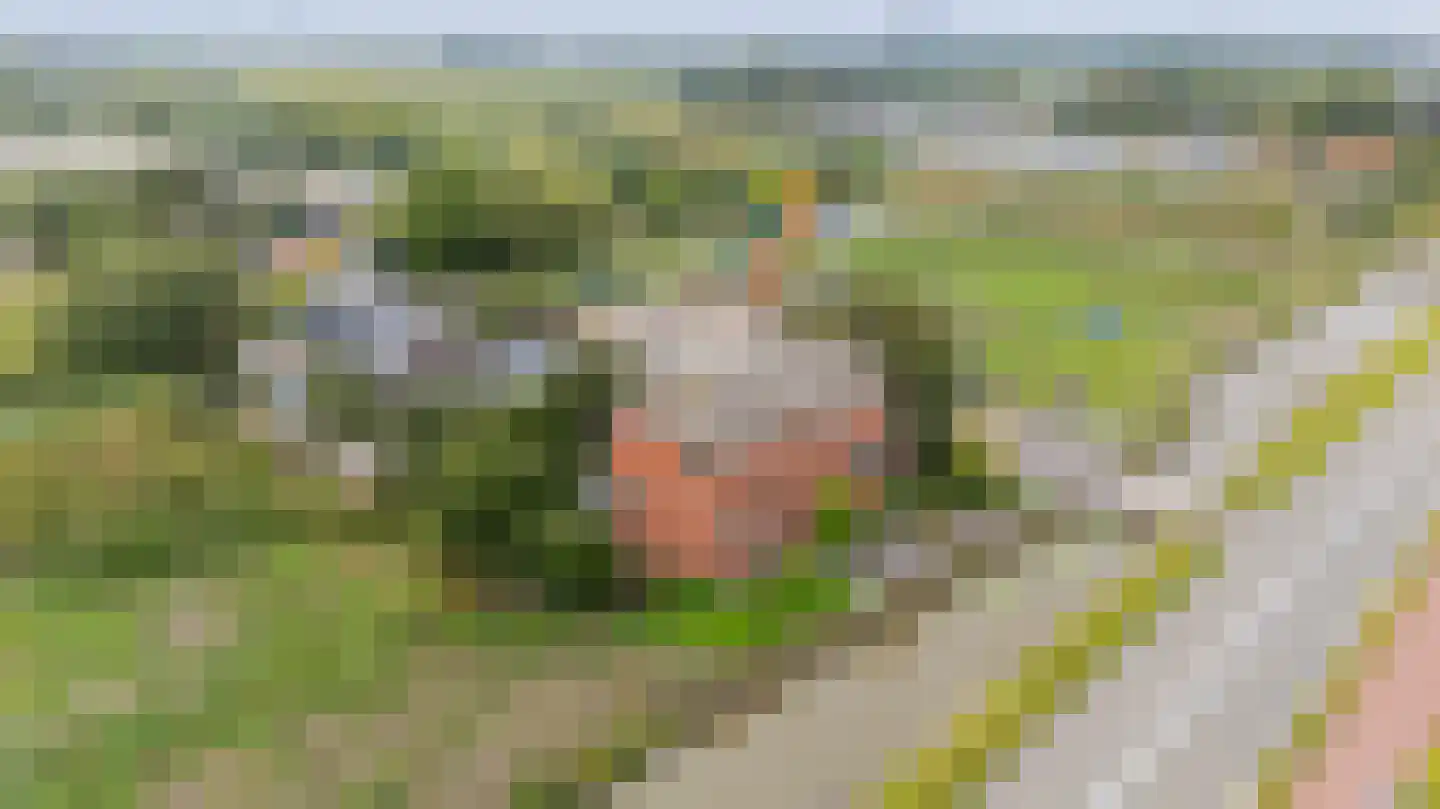 Katwijkerlaan 48 Pijnacker thumbnail 71