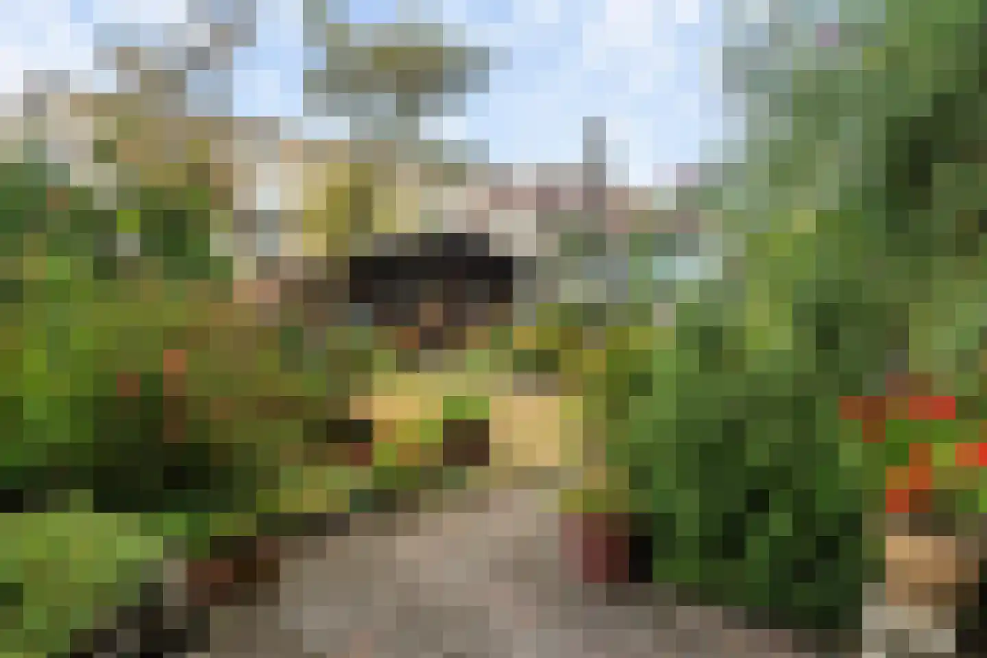 Katwijkerweg 10 Valkenburg thumbnail 42