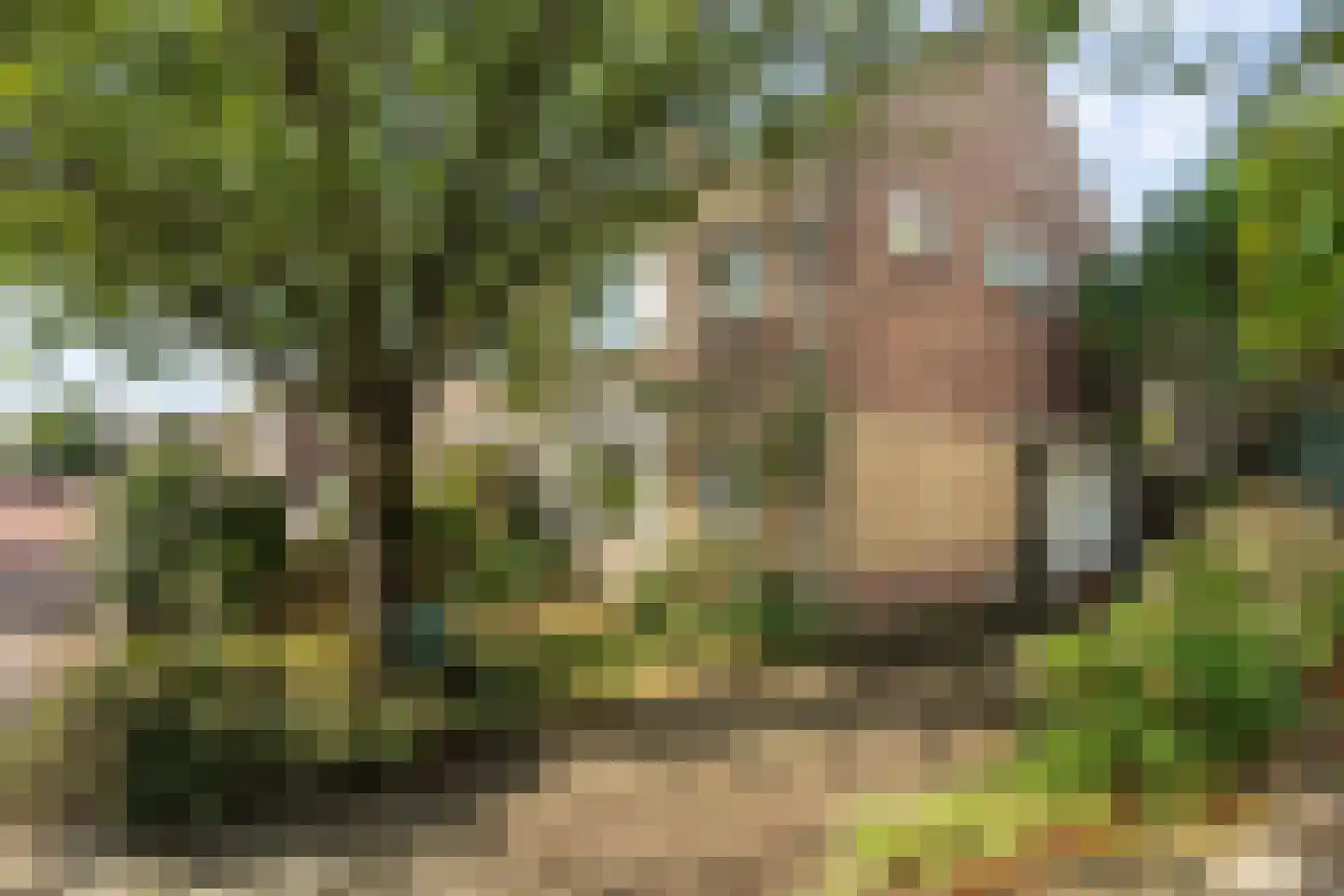 Katwijkerweg 10 Valkenburg thumbnail 46
