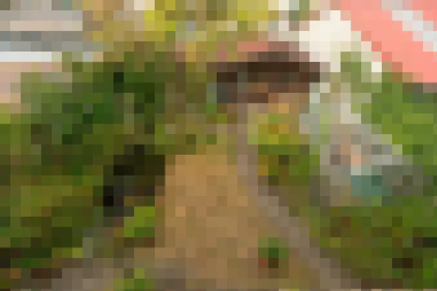 Katwijkerweg 10 Valkenburg thumbnail 5