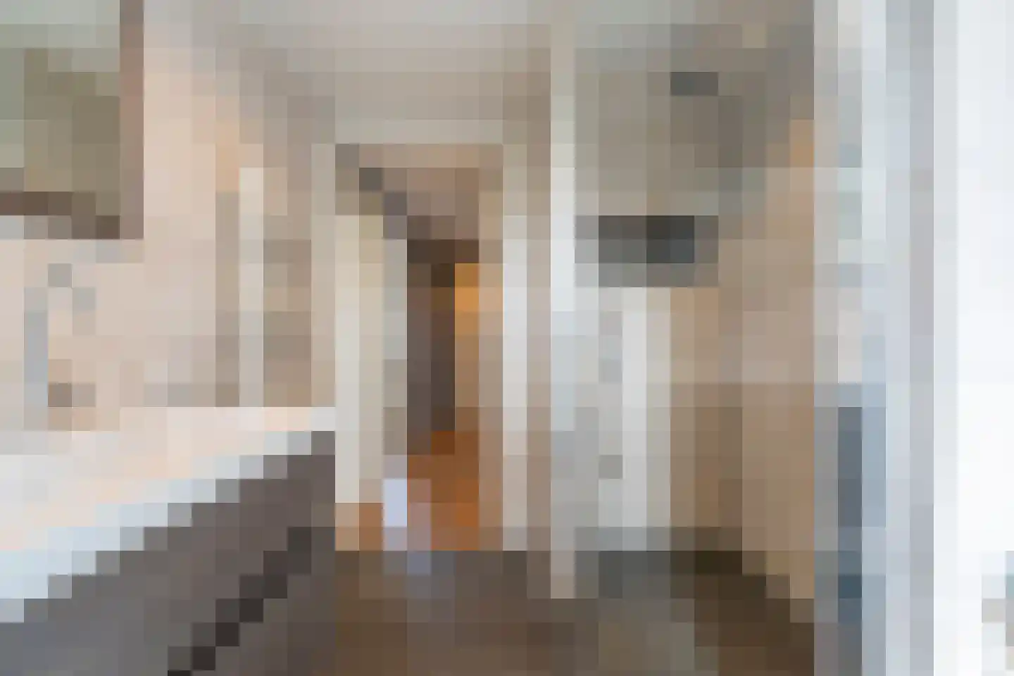 Katwijkerweg 13 Rijnsburg thumbnail 32