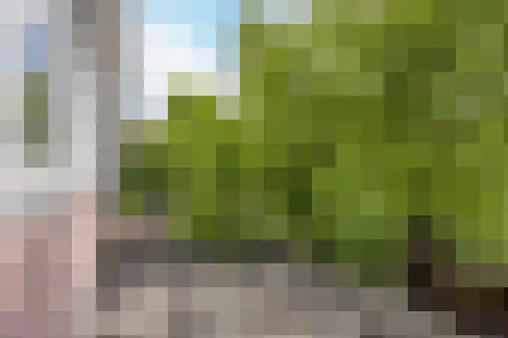 Katwijkerweg 42 Valkenburg thumbnail 19
