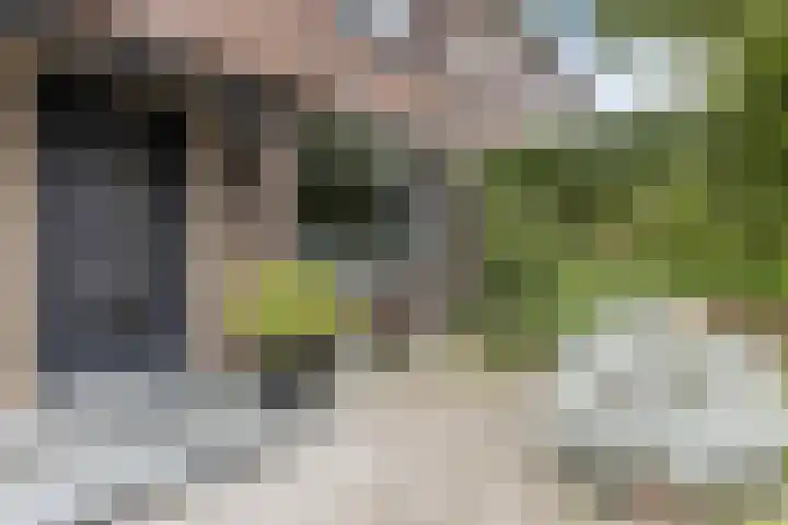 Katwijkerweg 5 Valkenburg thumbnail 5