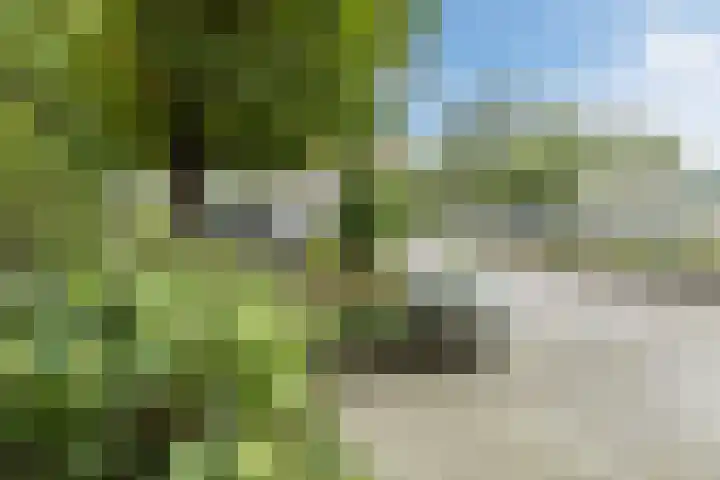Katwijkerweg 5 Valkenburg thumbnail 62